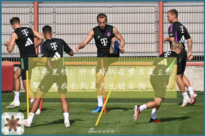 范弗里特：许多球队在努力建立默契，而我们则是天生的合拍