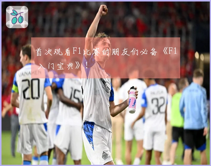 首次观看F1比赛的朋友们必备《F1 入门宝典》！