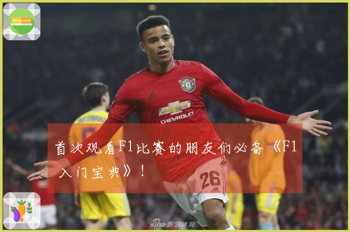首次观看F1比赛的朋友们必备《F1 入门宝典》！