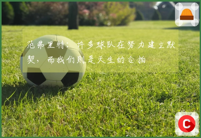 范弗里特：许多球队在努力建立默契，而我们则是天生的合拍